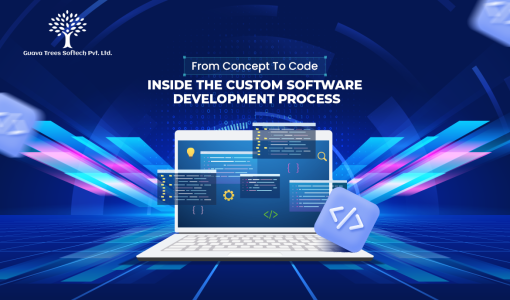 custom software process